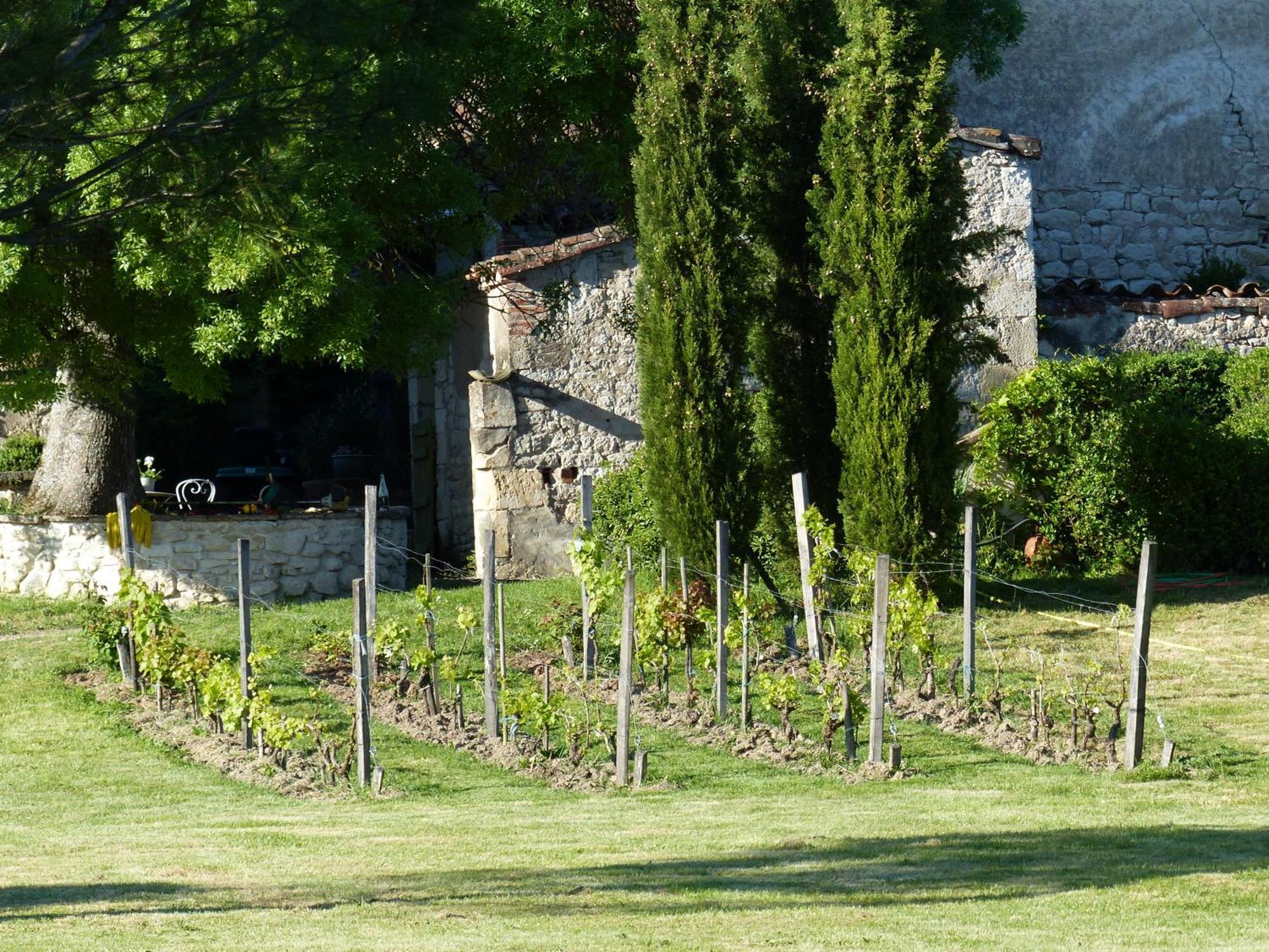 Domaine De La Monestarie - Teritoria Hotel Bernac  Exterior photo